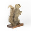 Squirrel standing on a wooden platform and holding a small pinecone with a paper tag tied to one arm.
