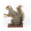 Squirrel standing on a wooden platform and holding a small pinecone with a paper tag tied to one arm.