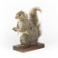 Squirrel standing on a wooden platform and holding a small pinecone with a paper tag tied to one arm.