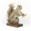 Squirrel standing on a wooden platform and holding a small pinecone with a paper tag tied to one arm.