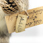 Squirrel standing on a wooden platform and holding a small pinecone with a paper tag tied to one arm.