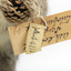 Squirrel standing on a wooden platform and holding a small pinecone with a paper tag tied to one arm.