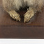 Squirrel standing on a wooden platform and holding a small pinecone with a paper tag tied to one arm.