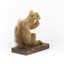 Squirrel standing on a wooden platform clutching an acorn in its hands. Acorns are also located on the platform and a paper tag hands from the specimen's arm.