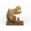 Squirrel standing on a wooden platform clutching an acorn in its hands. Acorns are also located on the platform and a paper tag hands from the specimen's arm.