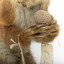 Squirrel standing on a wooden platform clutching an acorn in its hands. Acorns are also located on the platform and a paper tag hands from the specimen's arm.