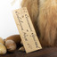 Squirrel standing on a wooden platform clutching an acorn in its hands. Acorns are also located on the platform and a paper tag hands from the specimen's arm.