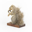 Grey Squirrel standing on a wooden platform facing front and looking right.