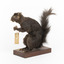 Carolina Squirrel standing on a wooden platform facing front and looking right
