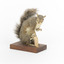 Grey coloured squirrel standing on a wooden platform looking towards the right.