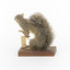 Grey coloured squirrel standing on a wooden platform looking towards the right.