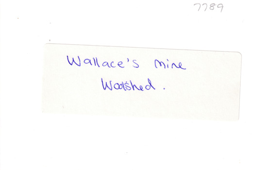 photograph reverse. Writing in pencil: 7789, writing in blue pen Wallace's Mine, Woolshed.
