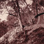 Image taken outside a hut at Beechworth. Image depicts two men standing at the entrance of a wooden hut, with a mine cart near the edge of the cliff. The hut and men are surrounded by trees.