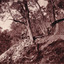 Image taken outside a hut at Beechworth. Image depicts two men standing at the entrance of a wooden hut, with a mine cart near the edge of the cliff. The hut and men are surrounded by trees.