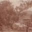 Image taken at Matthew's Gully of a small valley with a building at the base with water surrounding it and a few cottages on the hillside above it. A large portion of the left side of the photos are trees.