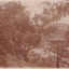 Image taken at Matthew's Gully of a small valley with a building at the base with water surrounding it and a few cottages on the hillside above it. Trees occupy a majority of the left hand side of the photo.