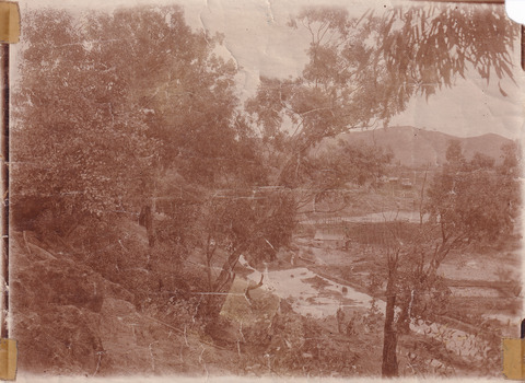 Image taken at Matthew's Gully of a small valley with a building at the base with water surrounding it and a few cottages on the hillside above it. Trees occupy a majority of the left hand side of the photo.