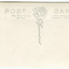 Reverse of a postcard depicting a large rose in the center of the card