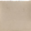 Back of mounted photograph, blank.