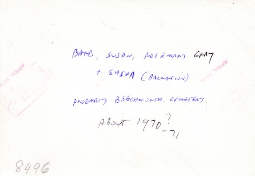 Brief handwritten notes about the photograph