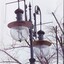 Black and white photo of old gas street lamp with leafless tree behind it.