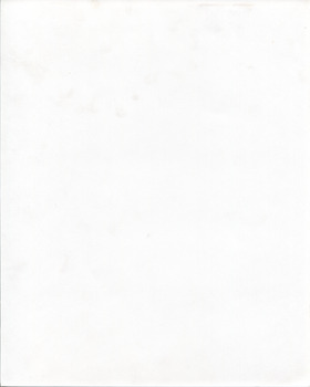 Reverse side of photograph, white page.