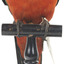 Male Australian King-Parrots are the only Australian parrots with a completely red head. Females are similar to males except that they have a completely green head and breast. Both sexes have a red belly and a green back, with green wings and a long green tail. King parrots are normally encountered in pairs or family groups.