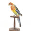 Eastern Rosella perching on wooden mount facing forward-right