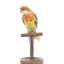 Eastern Rosella perching on wooden mount facing forward-right