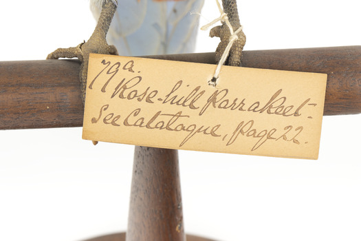 Image of swing-tag, see transcription