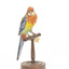Eastern Rosella perching on wooden mount facing forward-right
