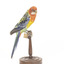 Eastern Rosella perching on wooden mount facing forward-right