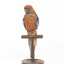 There are several colour forms of the Crimson Rosella. The form it is named for has mostly crimson (red) plumage and bright blue cheeks. The feathers of the back and wing coverts are black broadly edged with red. The flight feathers of the wings have broad blue edges and the tail is blue above and pale blue below and on the outer feathers. Birds from northern Queensland are generally smaller and darker than southern birds. The 'Yellow Rosella' has the crimson areas replaced with light yellow and the tail more greenish. The 'Adelaide Rosella' is intermediate in colour, ranging from yellow with a reddish wash to dark orange. Otherwise, all the forms are similar in pattern. Young Crimson Rosellas have the characteristic blue cheeks, but the remainder of the body plumage is green-olive to yellowish olive (occasionally red in some areas). The young bird gradually attains the adult plumage over a period of 15 months