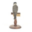 Back view of Golden Whistler