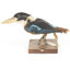 Taxidermy specimen of a Rufous-bellied Kookaburra (female) stylized on a wooden mount