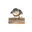 Taxidermy specimen of a Rufous-bellied Kookaburra (female) stylized on a wooden mount