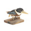 Taxidermy specimen of a Rufous-bellied Kookaburra (female) stylized on a wooden mount