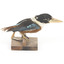 Taxidermy specimen of a Rufous-bellied Kookaburra (female) stylized on a wooden mount