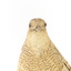 The Brown Quail is a small, plump ground-dwelling bird. It is variable in colour, ranging from red brown to grey brown with fine white streaks and black barring above, and chestnut brown below. The eye is red to yellow, the bill black and the legs and feet orange-yellow. In Tasmania, this species is called the Swamp Quail and tends to be larger and darker than mainland birds, with a pale yellow eye. Female Brown Quails are larger and may be more heavily marked with black and paler below than males. Young birds are like adult females, with less distinct markings and a dark brown eye. Quails rarely fly, preferring to hide unless an intruder flushes them; then they fly low to the ground, with a rapid whirring flight.