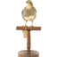 quail standing on a wooden mount facing forward