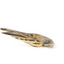 unattached tail feathers of spotted quail