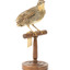 spotted quail standing on a wooden mount facing forward /left
