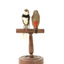two diamond firetail birds standing on a wooden mount, one facing forward, one facing backward