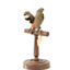 two diamond firetail birds standing on a wooden mount, one facing left, one facing right