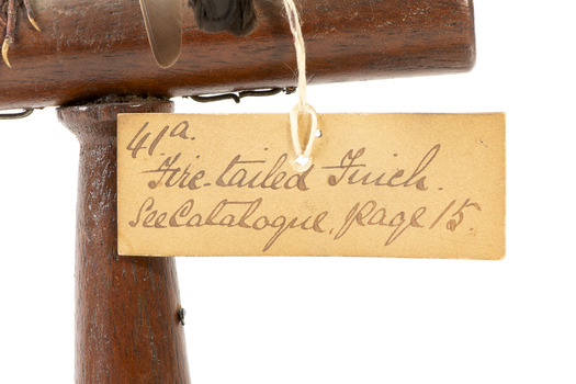 close up of swing tag, see transcript
