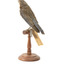 Bluebird perching on wooden mount facing forward