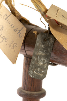 close up of metal ID tag, see transcript