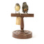 two spotted pardalote birds standing on a wooden mount facing front/back