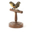two spotted pardalote birds standing on a wooden mount facing front left/right back left/right)