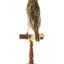 Eastern Meadowlark perching on wooden mount facing forward